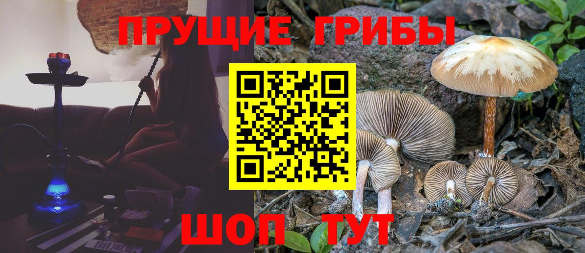 Бердск  Псилоцибиновые грибы Magic Shrooms  Вход с VPN 